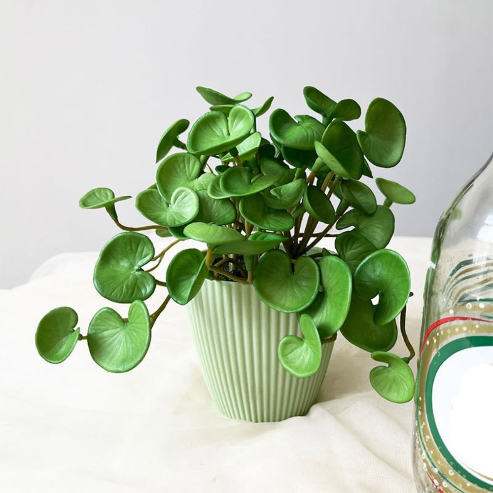 Cola macia planta artificial e - Home Office Layout avaliação e preço